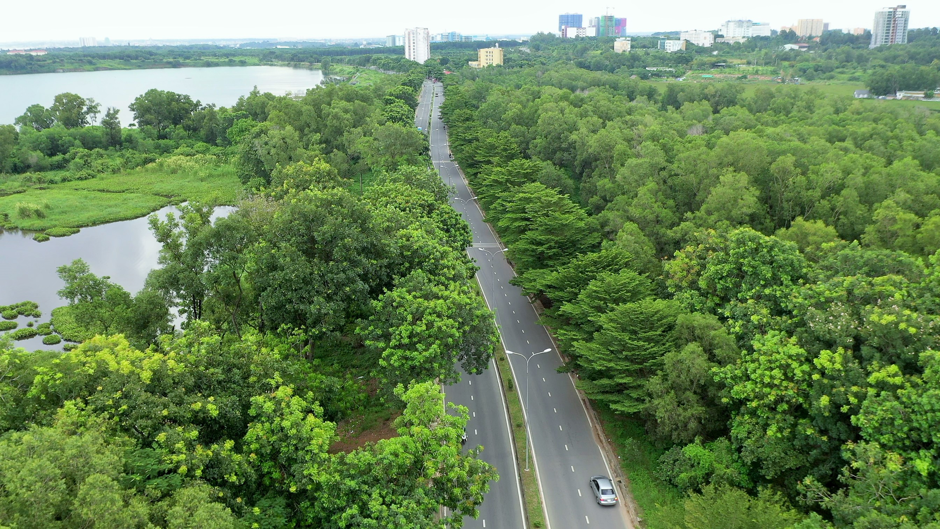 2.Cung đường Nguyễn Du trong khu đô thị ĐHQG-HCM1