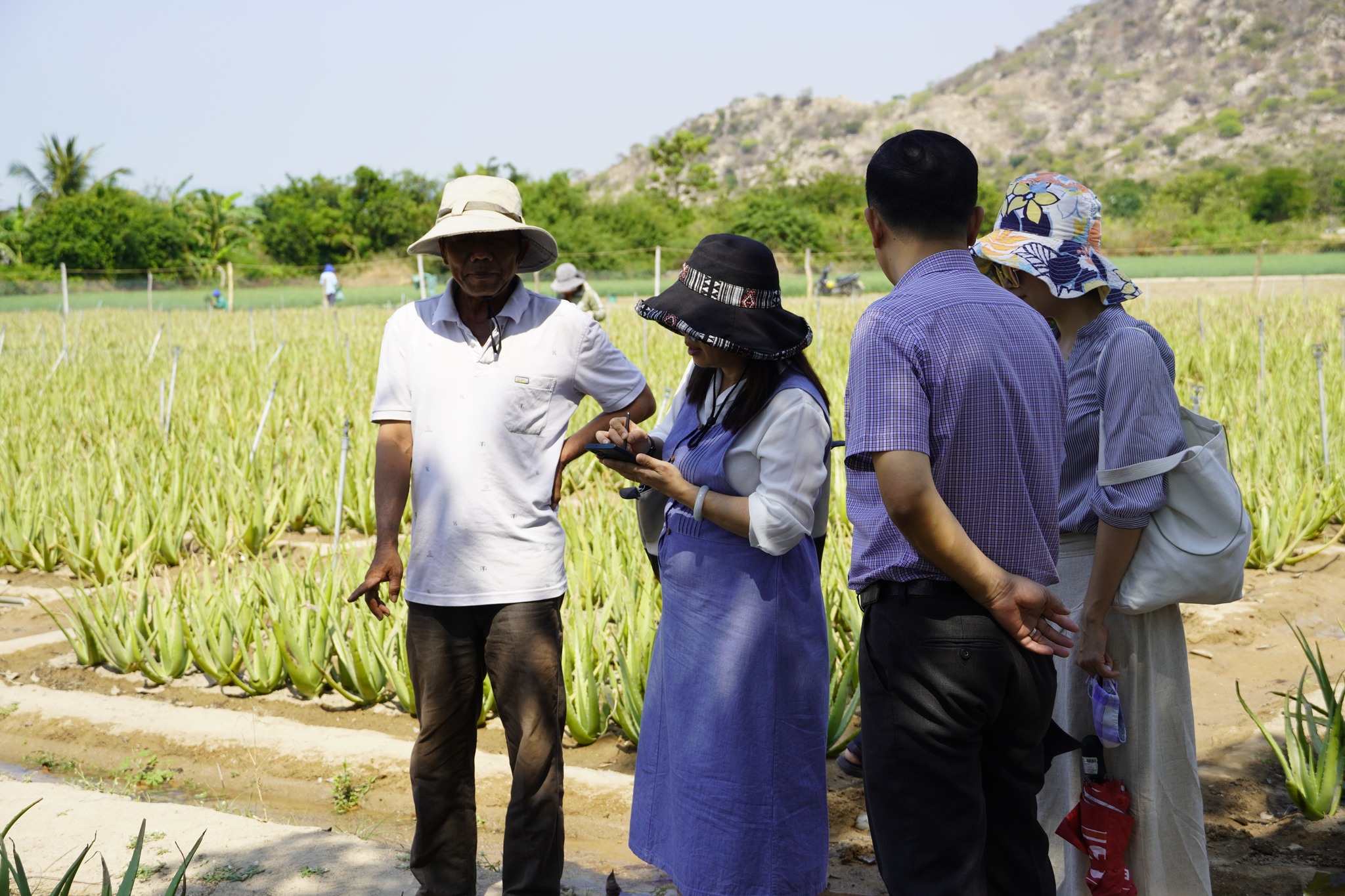 Các nhà khoa học trong đoàn của trường ĐHQT làm việc với bà con tỉnh Bình Thuận, Ninh Thuận năm 2024 